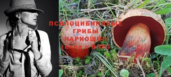 сатива Аркадак