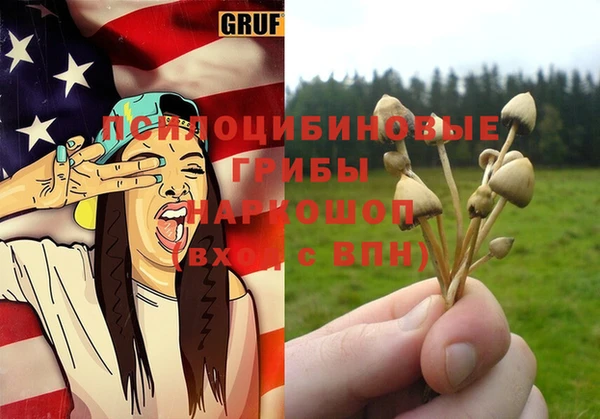 винт Армянск