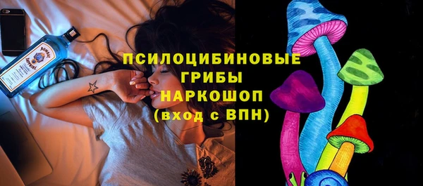винт Армянск